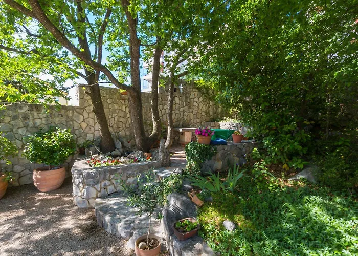 Nella. * 크리크베니카